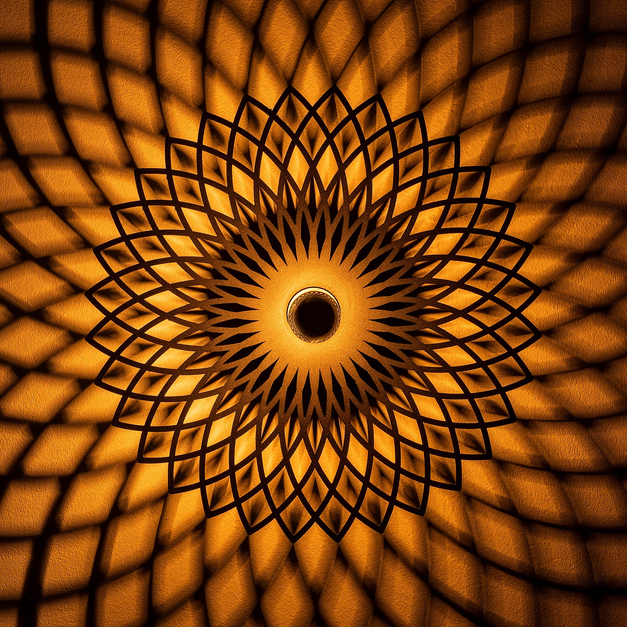 Fellini Applique | CORPS EN MÉTAL | Noir - Image 6