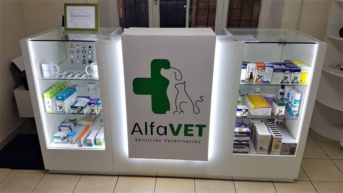 Présentoir comptoir petit format
